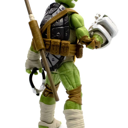 Donatello (IDW Comics) Teenage Mutant Ninja Turtles BST AXN Action Figure 13 cm