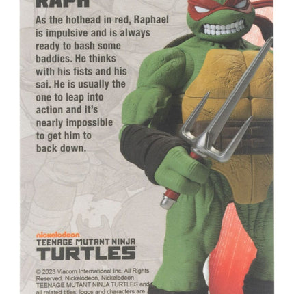 Raphael (IDW Comics) Teenage Mutant Ninja Turtles BST AXN Action Figure 13 cm