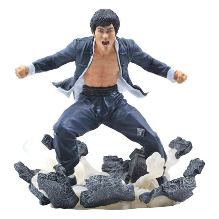 Bruce Lee Gallery PCV Statuetka Ziemia 23cm